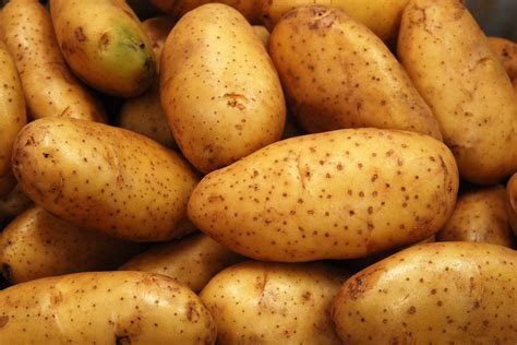 種土豆